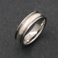Titanium Ring - Silver Xerxes